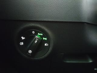 SKODA Karoq usata, con Filtro antiparticolato