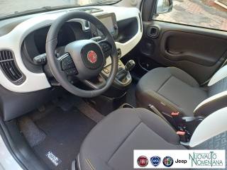 FIAT Panda usata, con Filtro antiparticolato