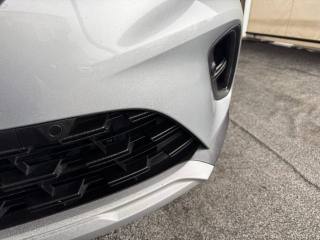 RENAULT Captur usata, con Autoradio digitale