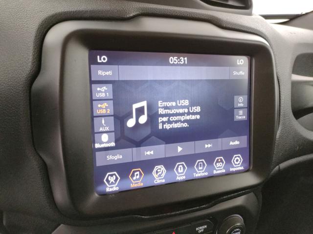 JEEP Renegade usata, con Fendinebbia