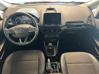 FORD EcoSport usata, con Cronologia tagliandi