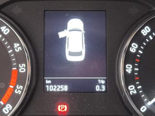 SKODA Octavia usata, con Fendinebbia