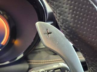 ALFA ROMEO Tonale usata, con Vetri oscurati