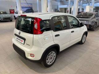 FIAT Panda usata, con ESP