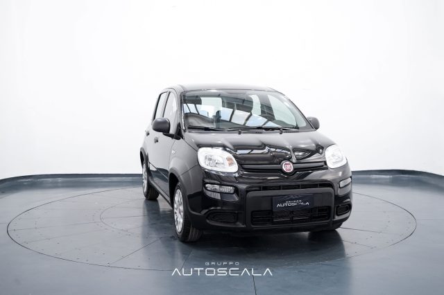 FIAT New Panda usata, con Controllo trazione
