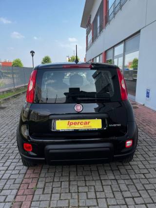 FIAT Panda usata, con Climatizzatore
