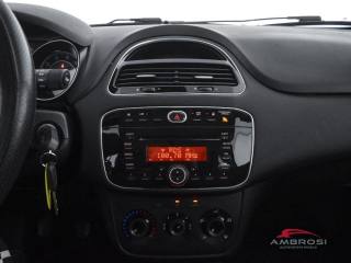 FIAT Punto usata 14