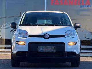 FIAT Panda usata, con Airbag Passeggero