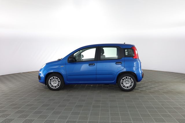 FIAT Panda usata 5
