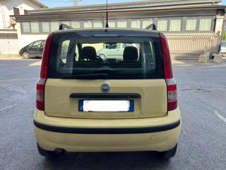 FIAT Panda usata 4