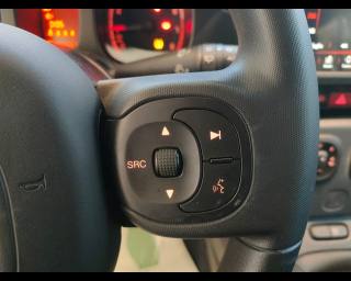 FIAT New Panda usata, con Volante multifunzione