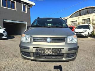 FIAT Panda usata 2
