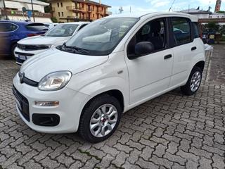 FIAT Panda usata, con Servosterzo