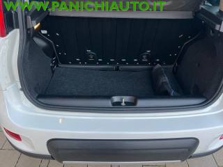 FIAT Panda usata, con Fendinebbia