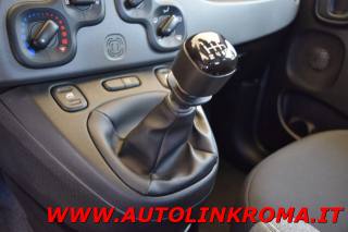 FIAT Panda usata 14