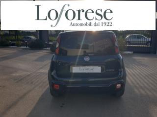 FIAT Pandina usata, con Antifurto