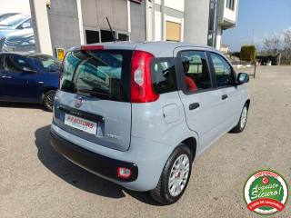 FIAT Panda usata, con Antifurto