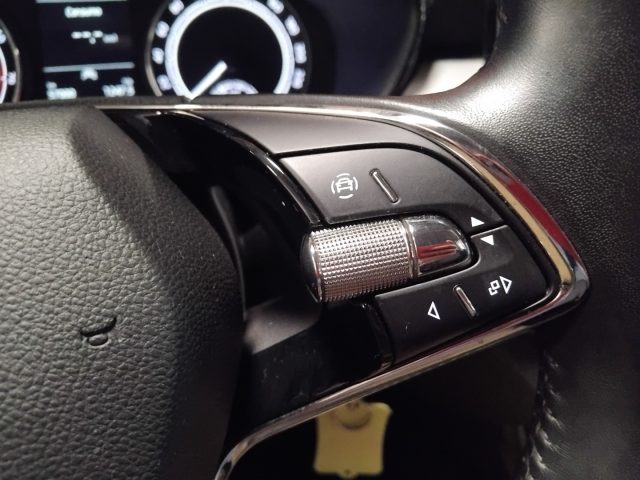 SKODA Fabia usata 18