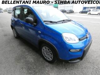 FIAT Panda usata, con Immobilizzatore elettronico