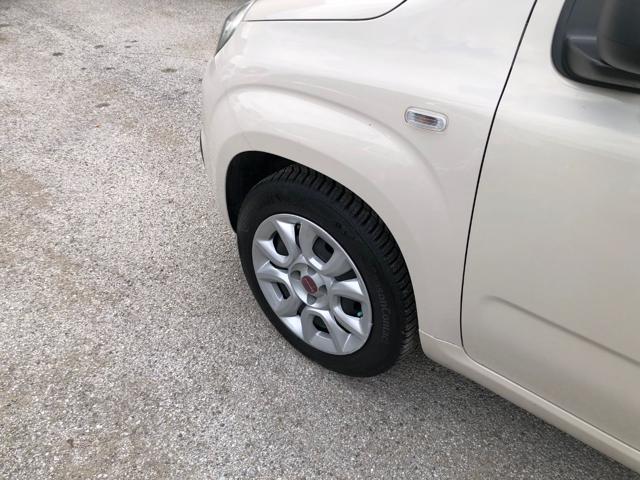 FIAT Panda usata 12
