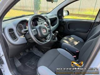 FIAT Panda usata, con Chiusura centralizzata