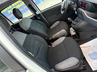 FIAT Panda usata 21