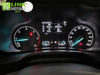 FORD Transit Connect usata 16