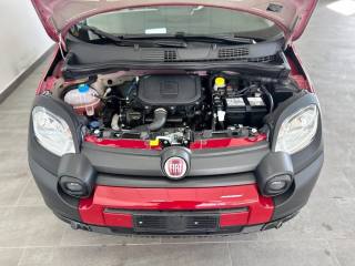 FIAT Panda usata, con Start/Stop Automatico