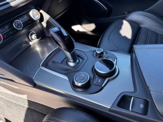 ALFA ROMEO Stelvio usata, con Climatizzatore