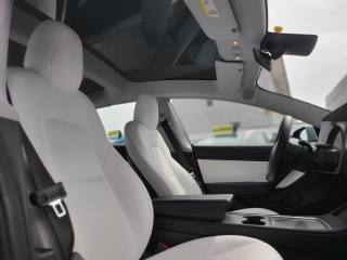 TESLA Model 3 usata, con Alzacristalli elettrici