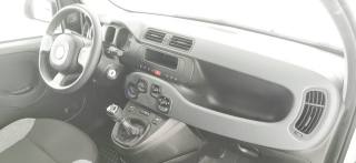 FIAT Panda usata 49