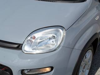 FIAT Panda usata 23