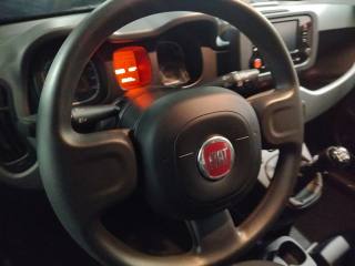 FIAT Panda usata 14