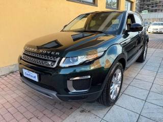 LAND ROVER Range Rover Evoque 2.0 eD4 5p. Business Edition Premium Pure
