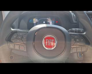 FIAT New Panda usata, con Cruise Control