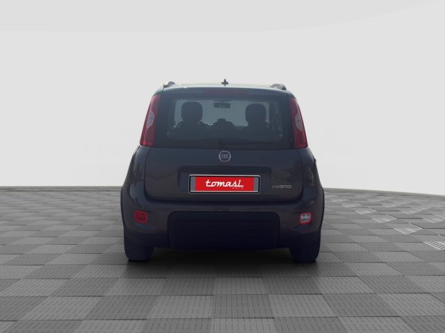 FIAT Panda usata 4
