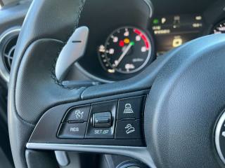 ALFA ROMEO Stelvio usata 18