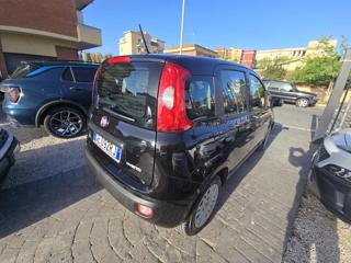 FIAT Panda usata, con Airbag Passeggero