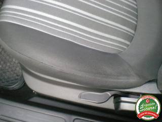 FIAT Punto usata 16
