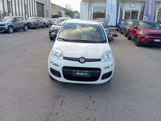 FIAT Panda usata, con Airbag