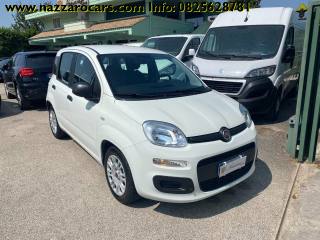FIAT Panda 1.0 FireFly S&S Hybrid Easy