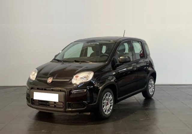 FIAT Panda usata, con Airbag Passeggero