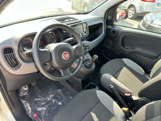 FIAT Panda usata, con Antifurto