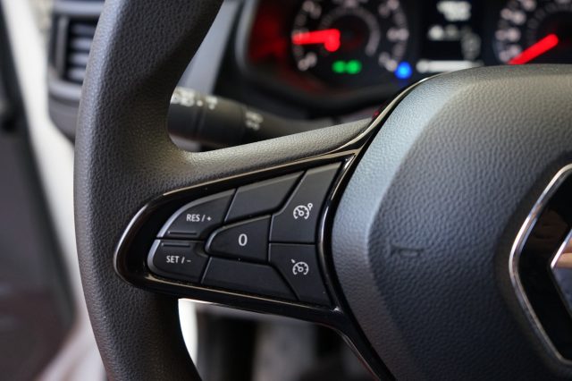 RENAULT Trafic usata 29