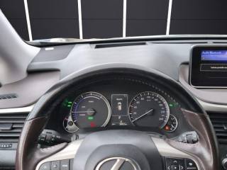 LEXUS RX 450h usata, con Tettuccio apribile