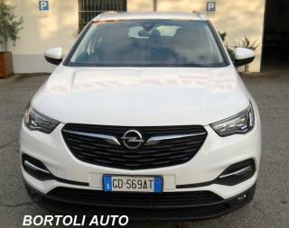 OPEL Grandland X usata, con Fari LED