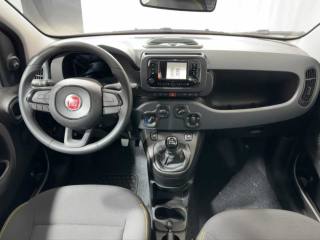 FIAT Panda usata, con Sensori di parcheggio posteriori