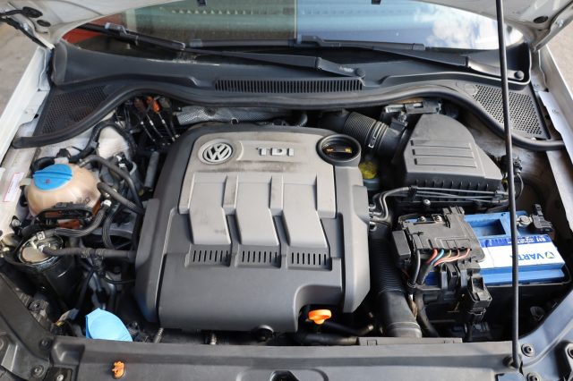 VOLKSWAGEN Polo usata 75