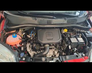 FIAT New Panda usata 14