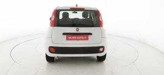 FIAT Panda usata 29